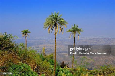 58 Sinhagad Fort Stock Photos, High-Res Pictures, and Images - Getty Images