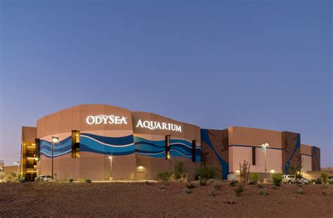 OdySea Aquarium - 254 Photos & 183 Reviews - Aquariums - 9500 E Via De ...