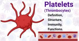 Platelets (Thrombocytes)- Definition, Structure, Immunity, Functions