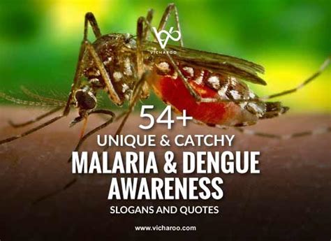 54+ Mosquito, Malaria & Dengue Awareness Slogans & Quotes – Vicharoo