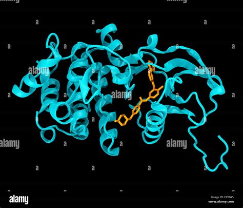 Crystal structure of the c-abl kinase domain (cyan) in complex with ...