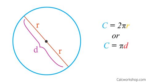 How to Find the Circumference of a Circle? (13 Examples!)