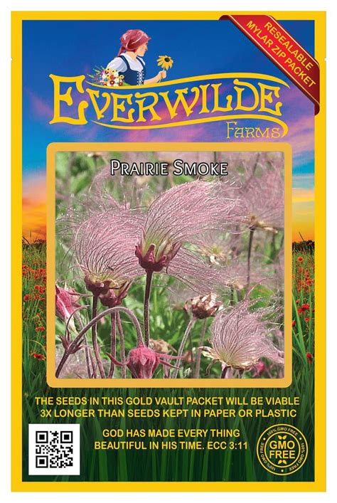 Everwilde Farms - 100 Prairie Smoke Native Wildflower Seeds - Gold ...