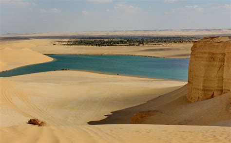 Fayoum Oasis and Lake Qaroun, EGYPT - Med-O-Med