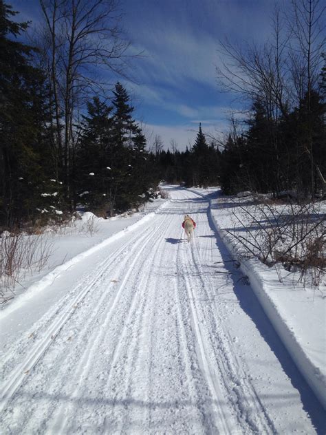 Some props for snowmobile trails in Vermont! : xcountryskiing