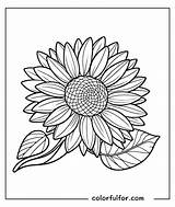 35 Sunflower Coloring Pages Free PDF Printables  Colorfulfor sketch template