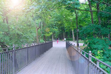 Premium Photo | Wooden bridge in city park people walking on path with green trees bridge in ...