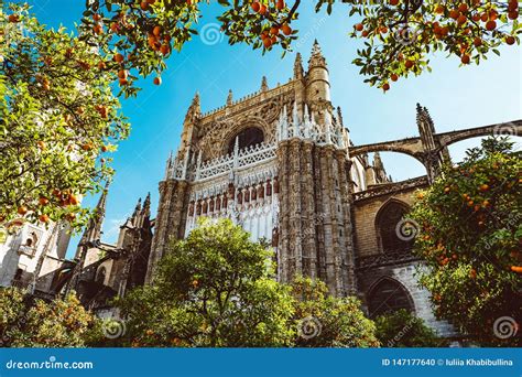 Spain, Andalusia, Seville, the Cathedral Bell Tower Seen from the Orange Tree Courtyard Stock ...