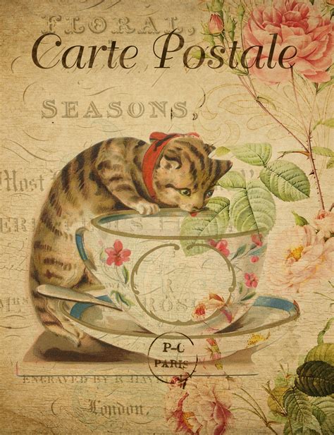 Cat Vintage French Postcard Free Stock Photo - Public Domain Pictures
