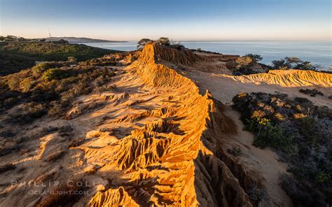 Torrey Pines State Reserve and Broken Hill Sunrise – Natural History Photography Blog