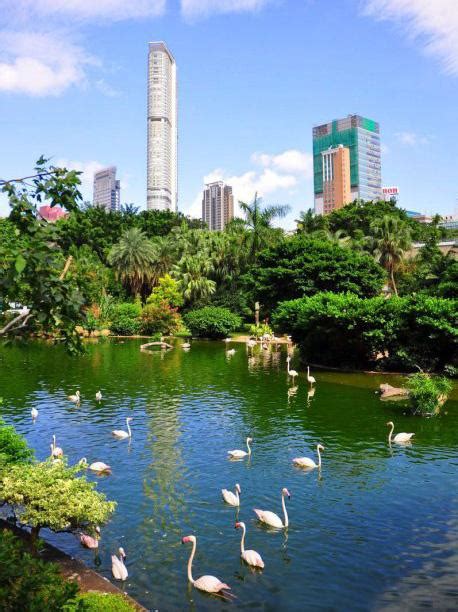 Kowloon Park Hong Kong