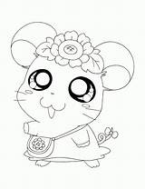 BAUZINHO DA WEB  BAÚ Hamtaro Desenhos E Riscos Para Colorir sketch template