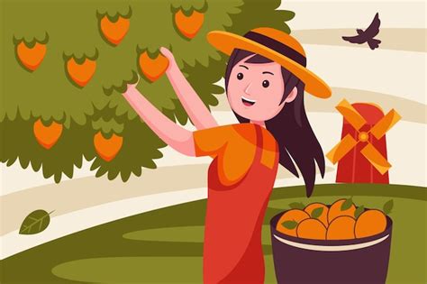 Premium Vector | Woman farmer pick fruit from mango tree.