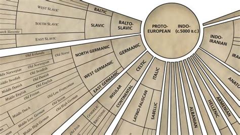 Indo-European Language Tree Infographic | Infographics Blog