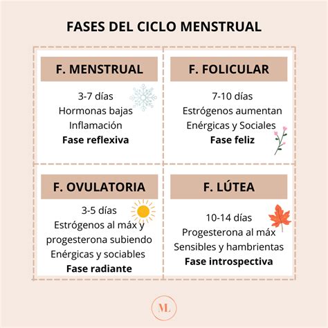 Fases del ciclo menstrual | Todo lo que tienes que saber - María Llamas