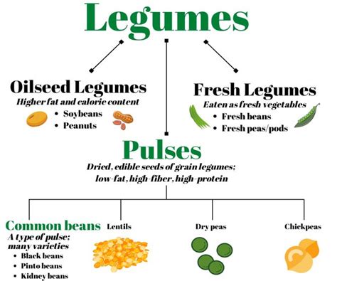 Fermented Legumes, Pulses, and Oilseeds: The Superfoods of African Cuisine