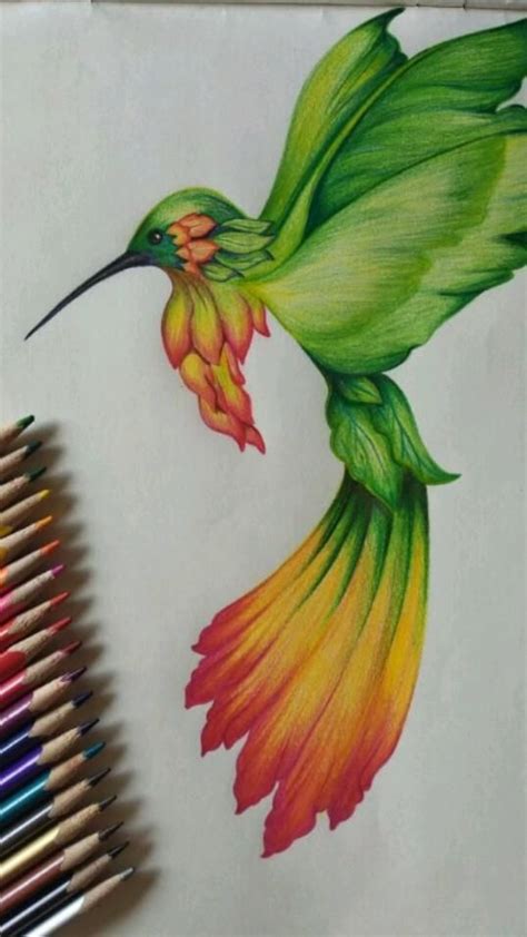 Color Pencil Drawing of a Hummingbird