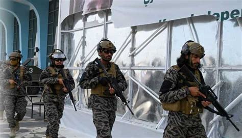 Explainer: What is Badri 313 unit? Taliban's so-called 'special force' - South Asia News