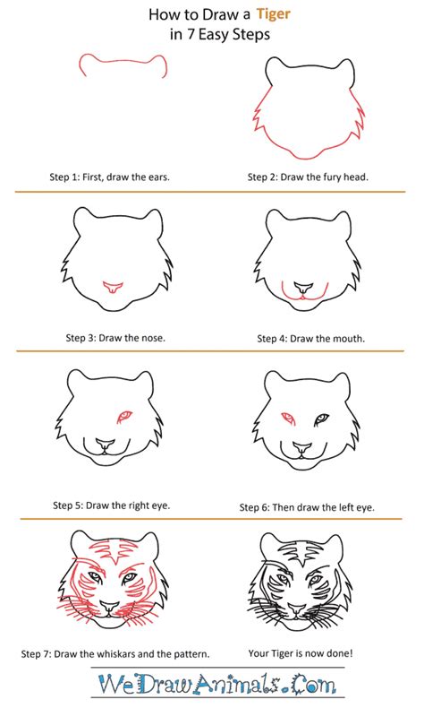 How to Draw a Tiger Head