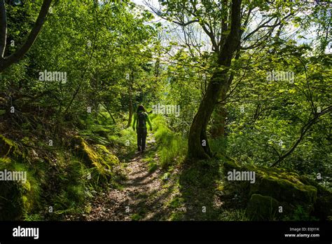 Hiking trail Battert Baden-Baden Northern Black Forest Stock Photo: 69257823 - Alamy