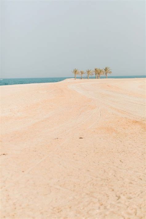 Sir Bani Yas Island Middle Eastern Travel Inspiration | Middle eastern travel, Travel ...