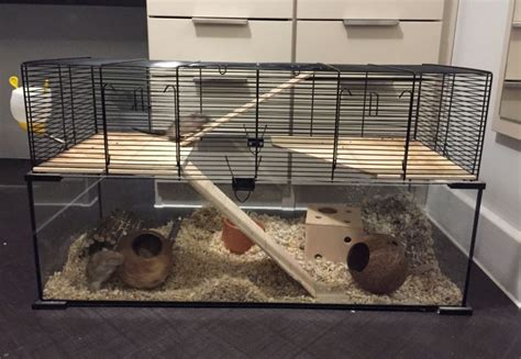 Just Wanted To Share My New Cage Setup With You R/gerbil, 50% OFF