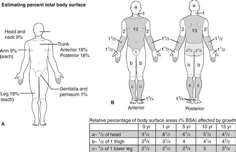 Skin Burns of the Head and Neck - Operative Techniques in ...