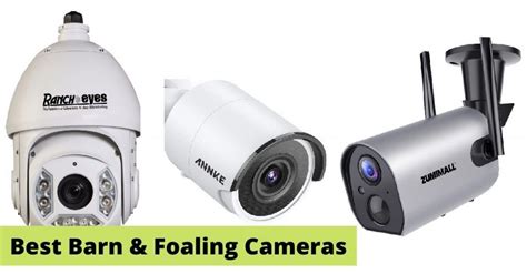 5 Best Barn & Foaling Camera Systems (Wireless & Waterproof)