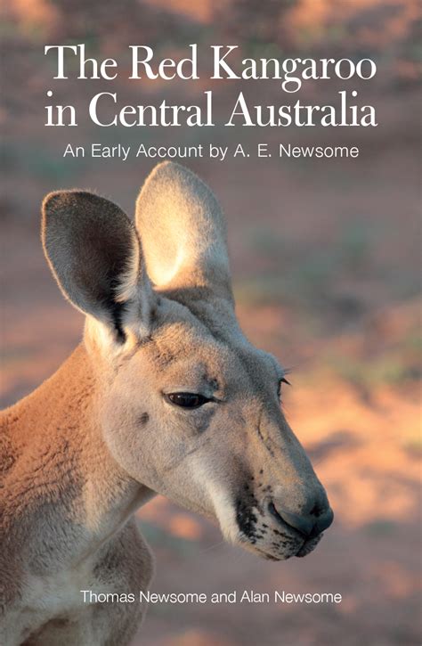 The Red Kangaroo in Central Australia, Thomas Newsome, Alan Newsome ...