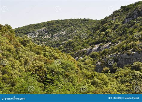 Scrubland stock photo. Image of botany, landforms, maquis - 51478818