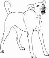 Bark Coloring Pages sketch template