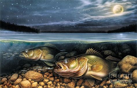 walleye drawings | ... Moon Walleye 1 Painting - Harvest Moon Walleye 1 Fine Art Print | Walleye ...