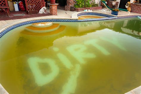 How to Clean a Green Pool: Step-by-Step Guide | Pool Doctor