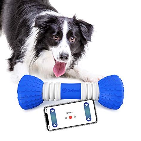 The 14 Best Moving Dog Toys (For Bored & Energetic Dogs)