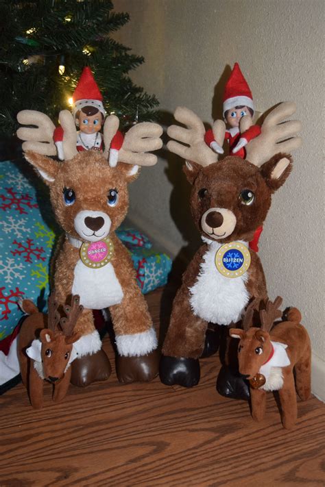 Elf On The Shelf Pet Reindeer Ideas - Pet Spares