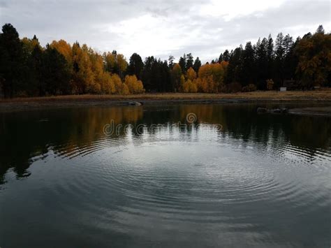 Lake or Pond with Ripples and Reflection and Trees in the Background ...