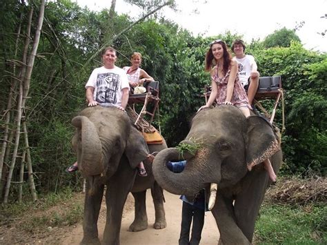 Elephant Trekking in Kanchanaburi Thailand | Kanchanaburi Activities