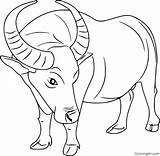 Carabao Coloring Page Sketch sketch template