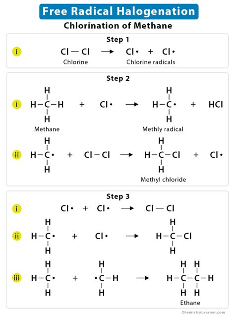 Halogenation: Definition, Examples, and Mechanism