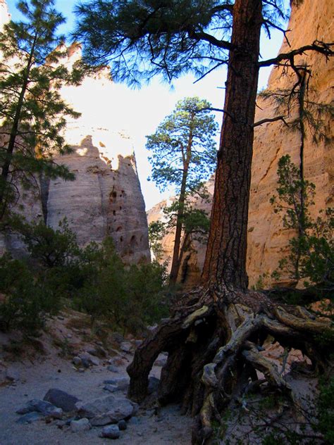 Tent Rocks National Monument - Nature - Photo.net