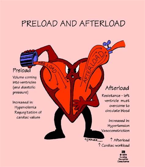 Preload and Afterload | Future Nurse | Pinterest