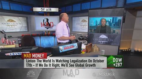 Marijuana CEO: Cannabis could disrupt a $500 billion market