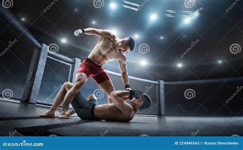 MMA Cage. Ground and Pound. Two Fighters are Fighting in the Octagon. Punches. Sport Concept ...