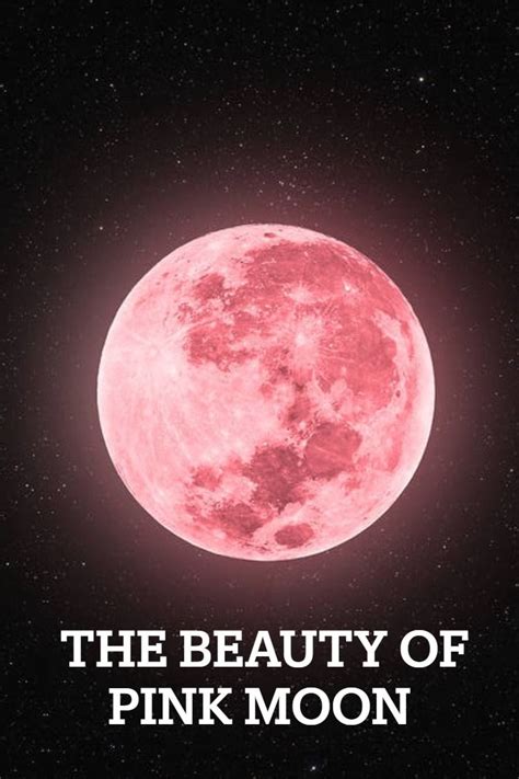 EXPERIENCE! THE BEAUTY OF THE PINK MOON 2023 APRIL FULL MOON in 2023 ...