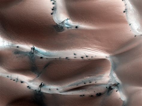 NASA MRO Image of Mars: Sand Dunes in the Spring - SpaceRef