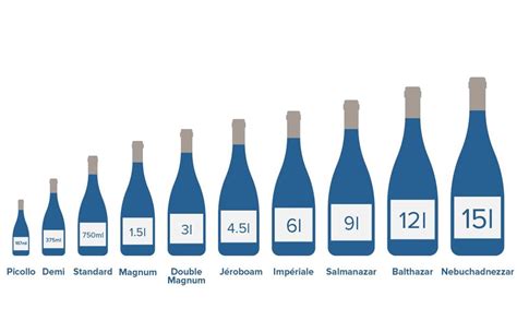 The definitive guide to wine bottle shapes and sizes – Tannins