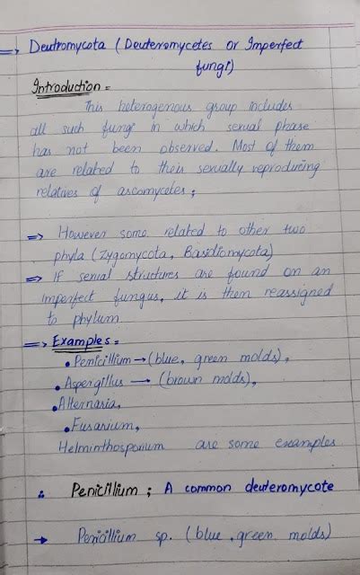 Army medical college entry test preparation : What is deuteromycota and Its structure