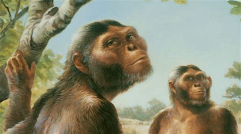 Human ancestor ‘Lucy’ could climb trees: Study | Technology News - The ...