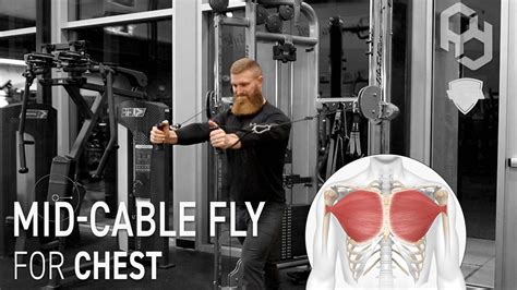 Mid-Cable Chest Fly | Proper Technique & Common Mistakes - YouTube