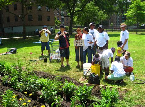 Resident Green Committees for Sustainability - Environmental Watch ...